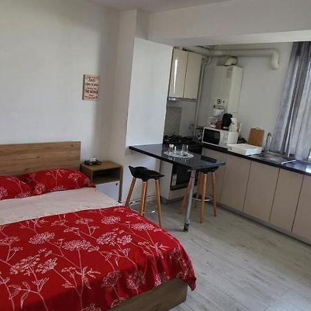 Self Check-In Studio 22 Bulevardul Oltenia Craiova Esterno foto