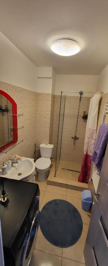 Self Check-In Studio 22 Bulevardul Oltenia Craiova Esterno foto