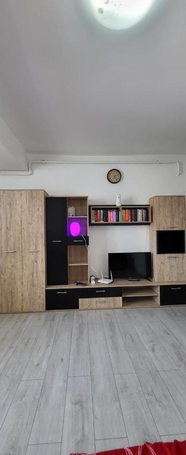 Self Check-In Studio 22 Bulevardul Oltenia Craiova Esterno foto